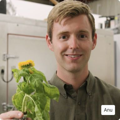 ANU – MAN HOLDING PLANT